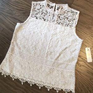 Gorgeous Lace Top